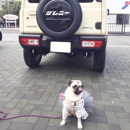 可愛いが止まらないご納車２連発！